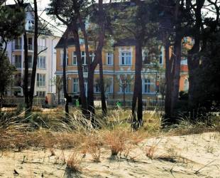 Ferienwohnung 1 - Villa Adler